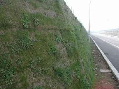 石籠網(wǎng) 石籠網(wǎng)