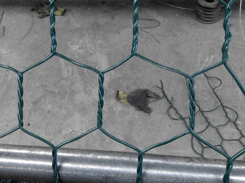 PE涂塑綠格網(wǎng) PE涂塑綠格網(wǎng)