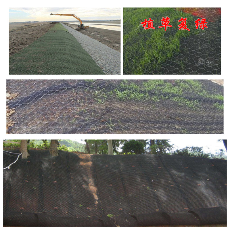 植草加筋麥克墊 植草加筋麥克墊