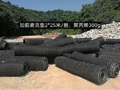 加筋麥克墊網(wǎng)格8*10cm,聚丙烯質(zhì)量300g,多少錢，怎么賣？